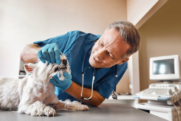 Best Weekend Emergency Dentist in Montgomery, OH