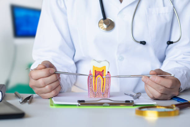 Best Broken or Cracked Tooth Emergency Dentist in Montgomery, OH
